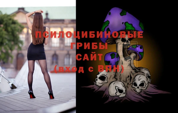 таблы Бронницы