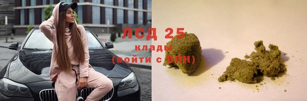 прущий лед Бородино